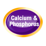 calcium and phosphorus